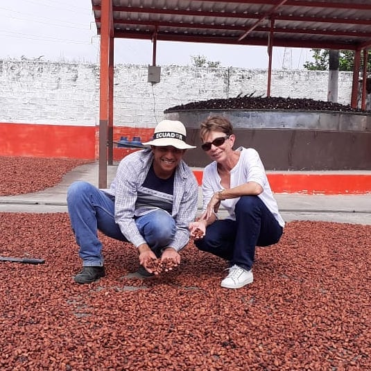 secado de cacao